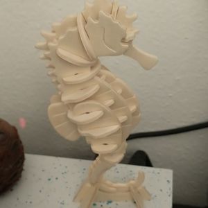 Seahorse